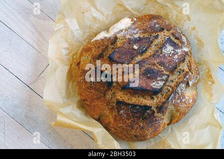 Loaf of crusty miracle overnight no knead bread baked on parchment paper Stock Photo