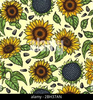 Seamless pattern with yellow sunflowers. Vector illustration sunflower background blossom bright Stock Vector