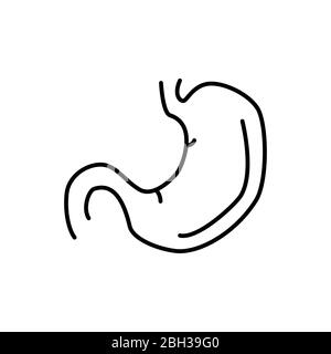 Human stomach sign. Simple line vector icon. Internal human organ. Stock Photo