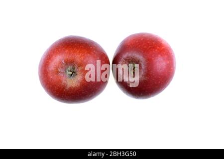 Two fresh red Aroma apples on white background Stock Photo