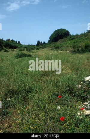 The overgrown stadium of the ancient Roman city of Nicopolis, before excavation. Nicopolis was built by Augustus Caesar (formerly Octavian) to commemorate his victory over the fleets of Mark Antony and Cleopatra in the naval battle of Actium, which took place nearby. Near Preveza, Epirus, Greece. Nicopolis has tentative status as a UNESCO World Heritage Site. Stock Photo