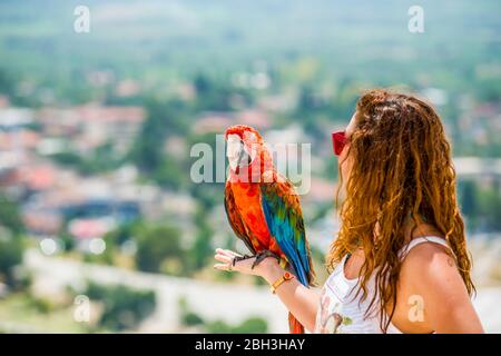 big parrot on hand with a view of pamukkale Stock Photo