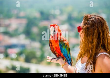 big parrot on hand with a view of pamukkale Stock Photo