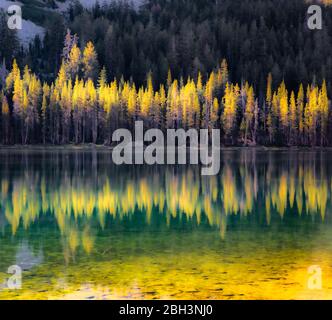 Forest lake reflection in autumn in California Stock Photo