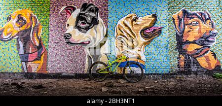 A Whyte T-130SR mountain bike along an urban trail with graffiti behind. Stock Photo