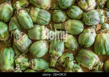 Background full of organic artichokes. Top view of a large quantity of freshly picked artichokes. Stock Photo