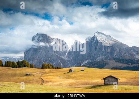 Landscape with beautiful autumn meadow field and the amazing Dolomite rocky peaks the valley of Alpe di siusi Seiser Alm South Tyrol in Italy Stock Photo