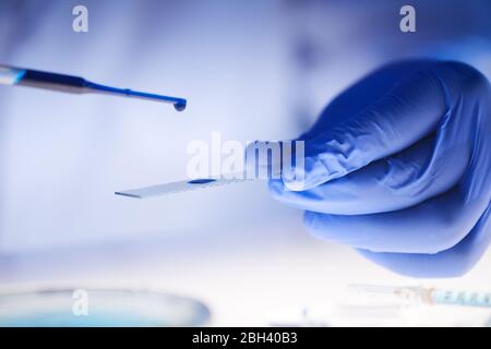 Close-up of doctor in protective gloves working with samples in the laboratory Stock Photo