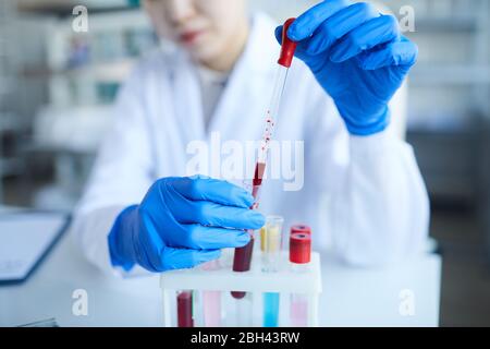 Close-up of female doctor in protective gloves examining the blood samples and working over analysis in the lab Stock Photo