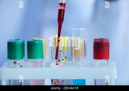 Close-up of blood samples in test tubes in the laboratory Stock Photo