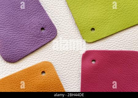 Abstract background of colorful multicolored leather samples on white leather, top view, copy space Stock Photo