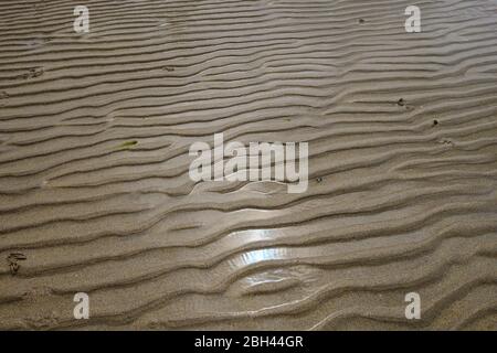The wavy pattern of horizontal stripes formed by the sand of an Irish beach during sunset is highlighted by the grazing light. Stock Photo