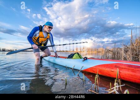 senior male paddler with his stand up paddleboard on a shore of calm lake, solo paddling as fitness and training with social distancing Stock Photo