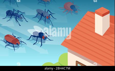 Vector of different insects invading residential house Stock Vector