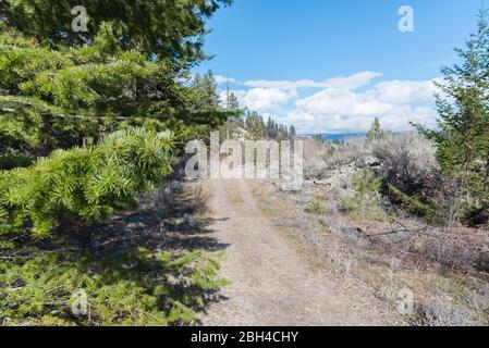 Hiking trail through forest and Okanagan Valley in early spring Stock Photo