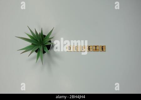 The word delete written in wooden letter tiles on a white background.  Concept delete or remove in business, technology or data. Stock Photo