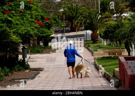 Spain. 23rd Apr, 2020. 40 days of lockdown in Tenerife. Daily life in Los Cristianos, Canary islands where some essential workers continue their jobs and people goes to supermarket to buy food despite lockdown. (Photo by Mercedes Menendez/Pacific Press) Credit: Pacific Press Agency/Alamy Live News Stock Photo