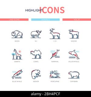 Animals collection - modern line design style icons set Stock Vector