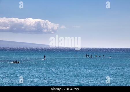 Unidentifiable surfers and stand-up paddlers on the ocean on Maui. Stock Photo