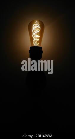 Decorative Vintage Incandescent Light Bulb in the dark Stock Photo