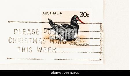 SEATTLE WASHINGTON - April 22, 2020:  1978 Australian postage featuring Pied Oystercatcher bird on paper with Christmas reminder postmark. Scott # 685 Stock Photo