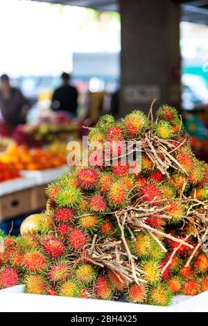 Pile of fresh Rambutan on sale in a fruit market in Singapore. Rambutan is a popular tropical fruit native to South East Asia. The name derives from t Stock Photo