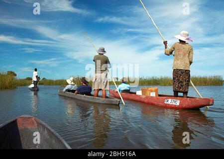 Tourists being poled though in mokoros (dugout canoes), Okavango Delta, Botswana, Africa