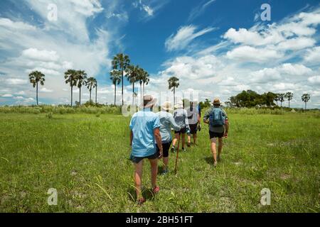 Tourists on guided walk in Okavango Delta, Botswana, Africa Stock Photo