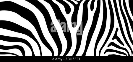 Seamless abstract vector background design based on African wildlife animal texture pattern of zebra striped print style Stock Vector