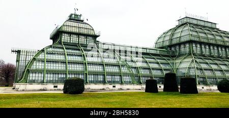 Elevation of botanical palm house architecture and grass field outdoors in Vienna, Austria Stock Photo