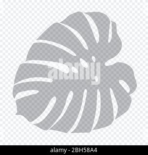 Grey transparent shadow of montsera leaf. Sharp edges of the isolated vector silhoette. Stock Vector