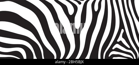 Abstract vector texture background design inspired by African safari animal pattern of zebra striped skin print Stock Vector