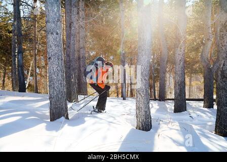 Man in orange jacket skiing on fresh powder snow at winter forest Stock Photo