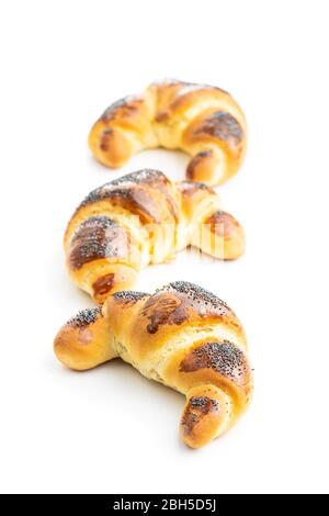 Sweet homemade croissants with poppy isolated on white background. Stock Photo