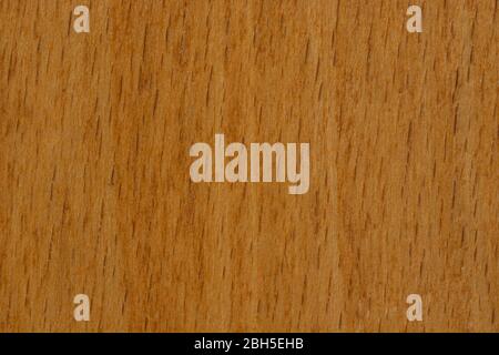 Wooden light brown macro shot. There are dark vertical lines on the surface. Close up. Stock Photo