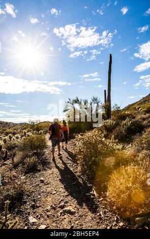 Two people hiking in the Apache Wash area of the North Phoenix Sonoran Desert Preserve on a sunny blue sky day, Arizona, USA. Stock Photo