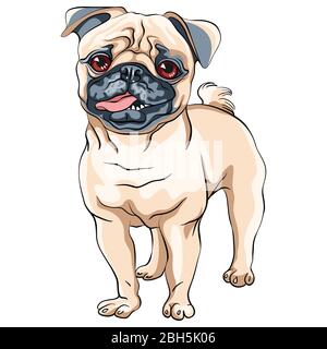 Vector cute dog pug breed fawn color Stock Vector