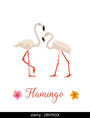 Two pink flamingo set. Exotic tropical bird. Decoration element. Flat design. White background. Vector illustration. Stock Vector