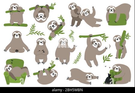 Sloth on branch. Cute little kid sleepy animal on branch in zoo playing with baby hanging vector characters cartoon. Hand drawn collection of funny sl Stock Vector