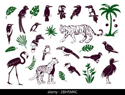 Set of birds. Bright exotic tropical birds. Macaw, Cockatoo, flamingo, toucan. Vector. Stock Vector