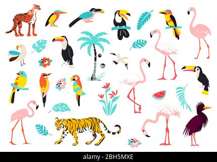 Tropic paradise animals flowers and plants. Rainforest vector set. Stock Vector