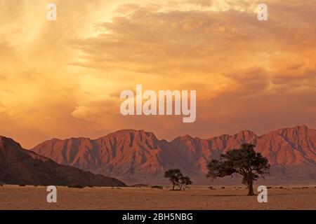 Namib desert landscape at sunset with rugged mountains and dramatic clouds, Namibia Stock Photo