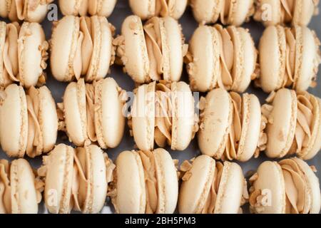 Homemade french macaroons with brown shells, peanut butter cream and peanuts. Selective focus. Stock Photo