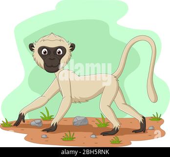 Cartoon vervet monkey in the field Stock Vector