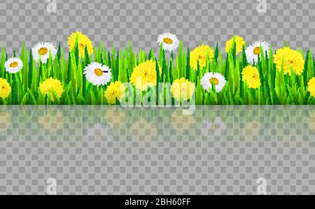 Seamless grass border with flowers chamomile and dandelion . Vector illustration Stock Vector