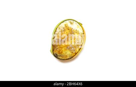Rot sliced mango path isolated White backgrounds Stock Photo