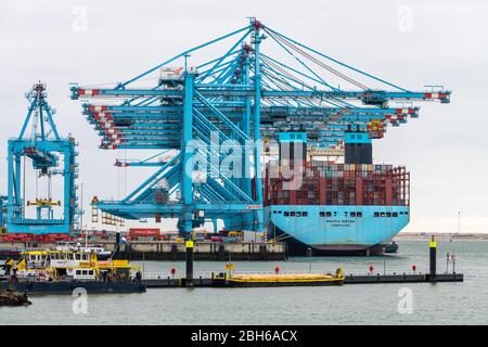 ROTTERDAM, MAASVLAKTE, THE NETHERLANDS - MARCH 15, 2020: Container ship Madrid Maersk is moored at the APM terminals at the Maasvlakte , Port of Rotte Stock Photo