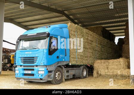 Bordeaux , Aquitaine / France - 04 16 2020 : iveco stralis 480 heavy trailer truck transporting straw bales in the farmyard Stock Photo