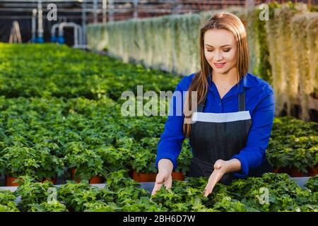 Attractive young woman working in a garden center. Stock Photo