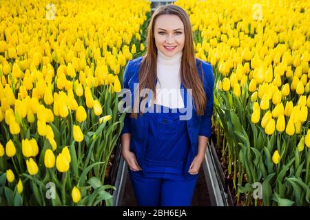 woman gardener florist dressed in working clothes, smiling looking at the camera while standing in a greenhouse with lots of yellow tulips Stock Photo